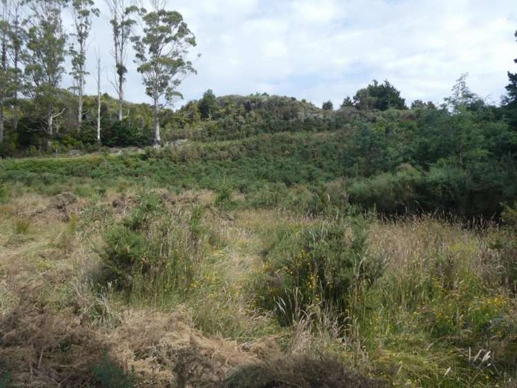 Keogans Road Hokitika_10