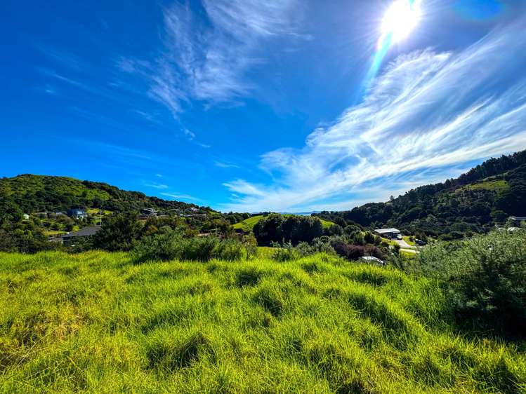 8 Te Mata Drive Te Mata_2