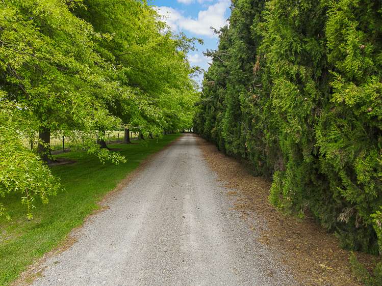 838 Rapaura Road Rapaura_40