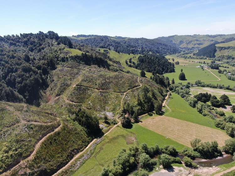 1822 Otewa Road Waimahora_28