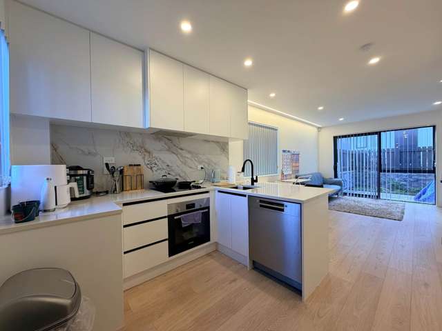 5/27 Britton Avenue Mt Roskill_3