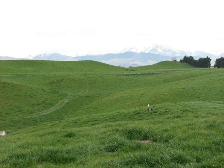 62 Harveys Road Island Cliff_21