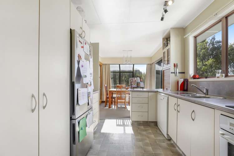 15 Taiporutu Place Springfield_4