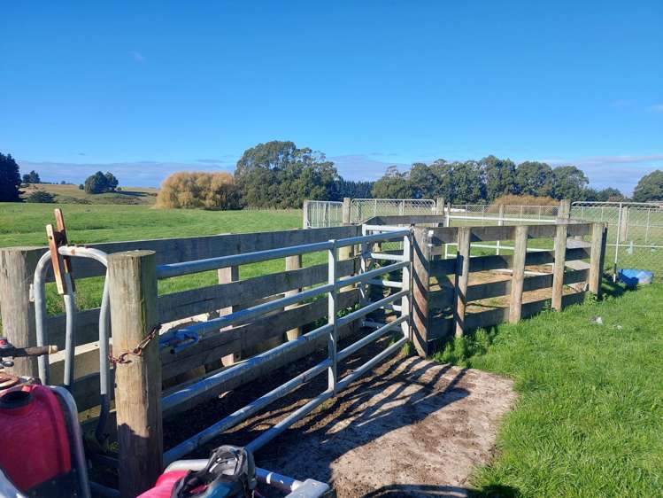 2 Essex Street Weston_7