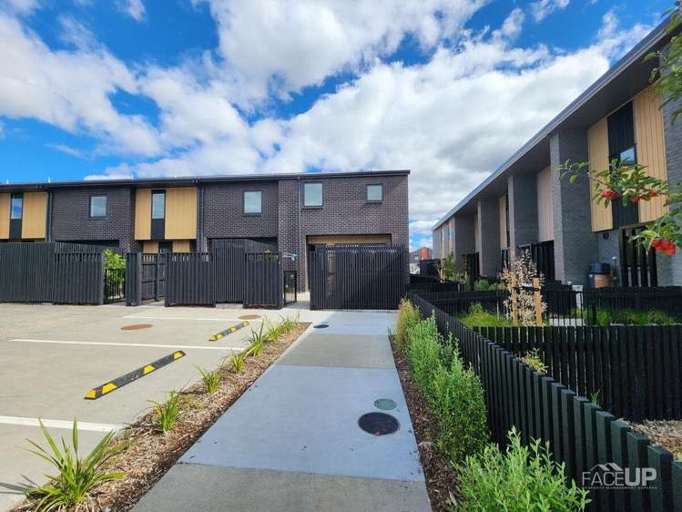 4 Arvo Lane Hobsonville_13