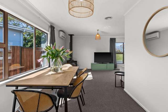 47 Westminster Avenue Tamatea_1