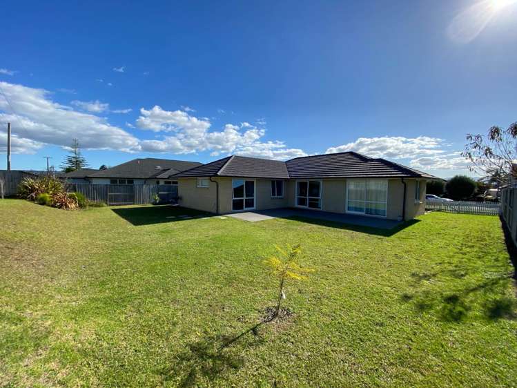 38 Charlotte Drive Omokoroa_4