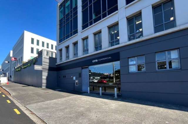 18 Normanby Road Mt Eden_1