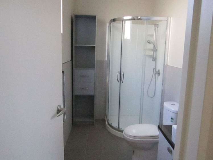 1 Savina Court Flat Bush_6