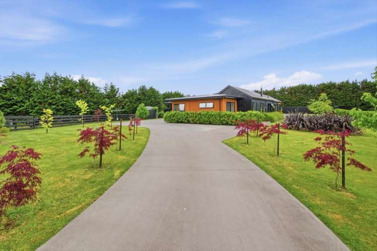 38 Shaw Road, Te Ranga Te Puke_19