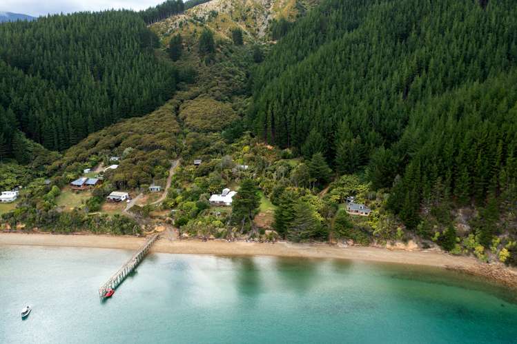 Lot 2 Grant Bay, Manaroa Marlborough Sounds_7