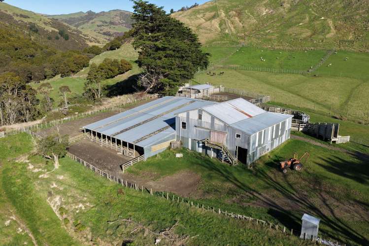 722 Castle Hill Road Alfredton_11