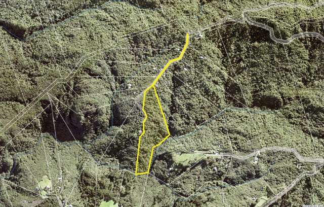 14 La Trobe Track Karekare_2