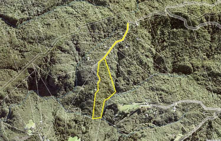 14 La Trobe Track Karekare_2