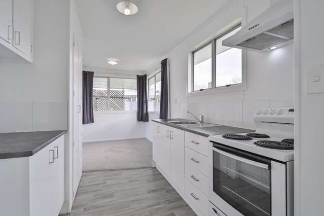 49 Caernarvon Drive Flaxmere_3