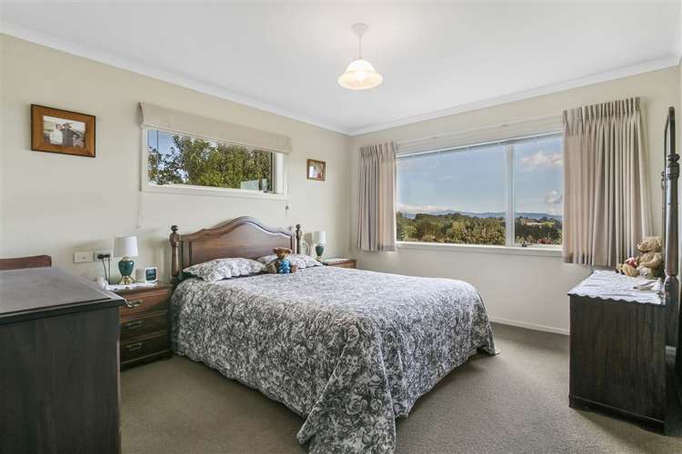199e Youngson Road Whakamarama_5