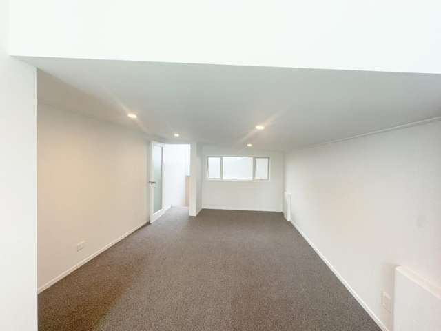 315 Dominion Road Mount Eden_4