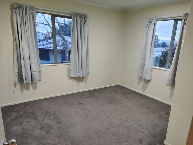 486A Hillsborough Road Mount Roskill_3