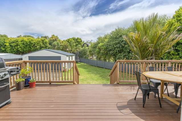 14 Leone Terrace Mount Albert_1