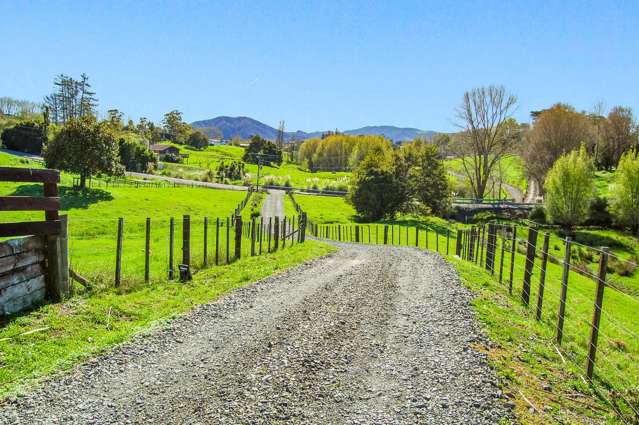 82 Settlement Road Kaiwaka_3