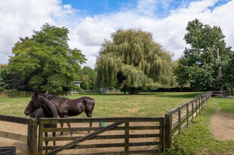 59 Fuchsia Lane Tamahere_12