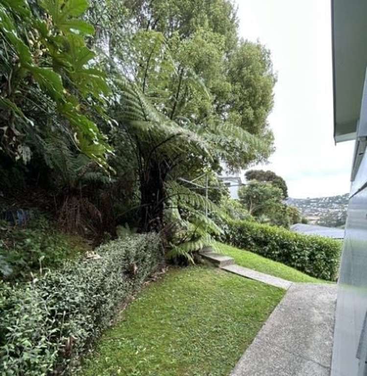 7B Randolph Road Crofton Downs_16