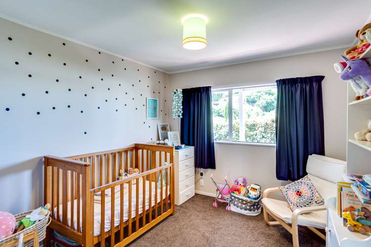 28a Havelock Road Napier South_13