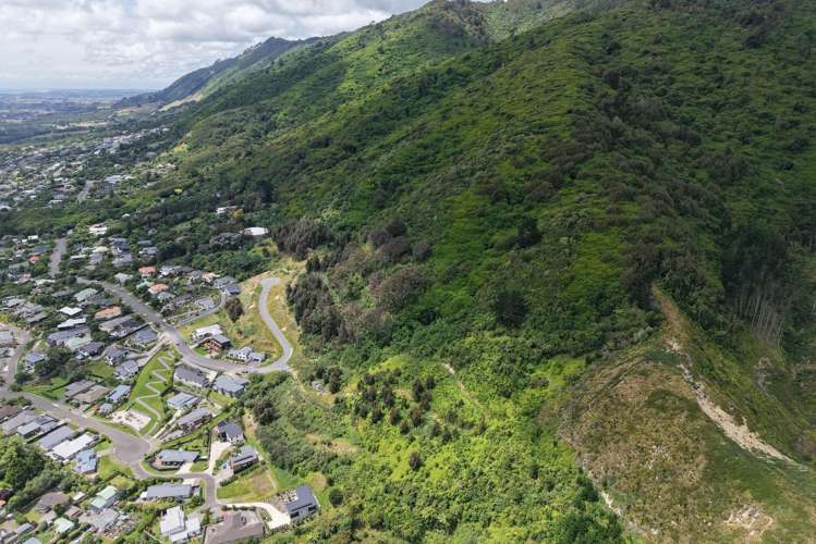 78 - 96 Kakariki Grove Waikanae_13