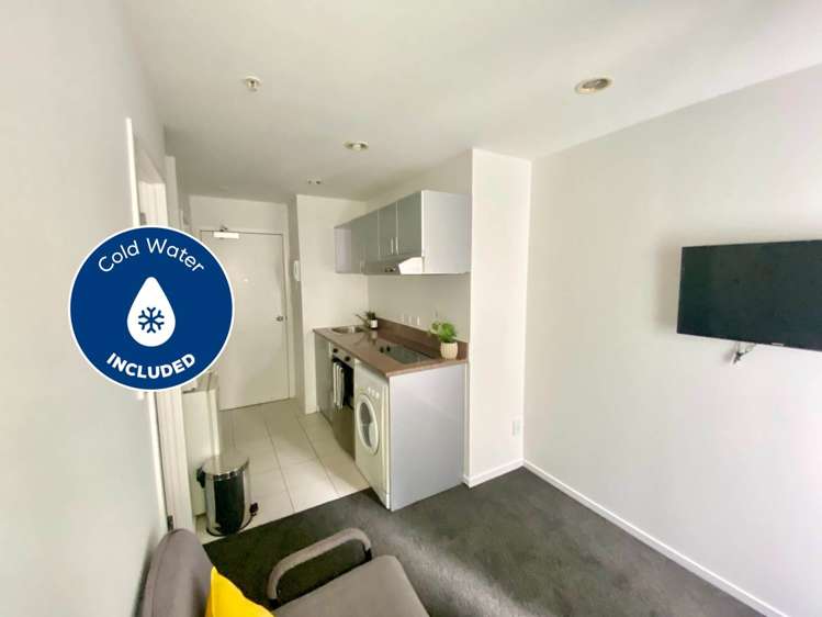 1E/113 Vincent Street_0