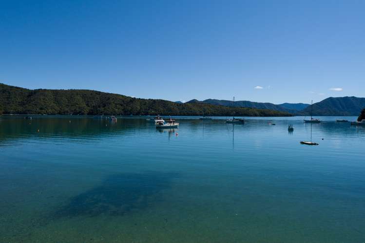 Port Underwood Road Port Underwood_3