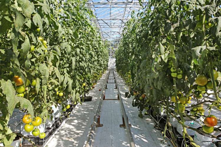 66 Marae O Rehia Road Waiuku_20