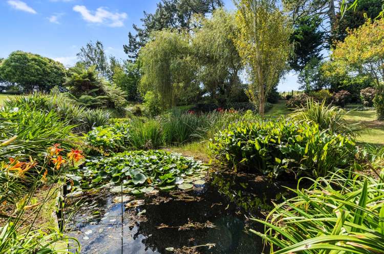 1009 Hetherington Road Ruawaro_30