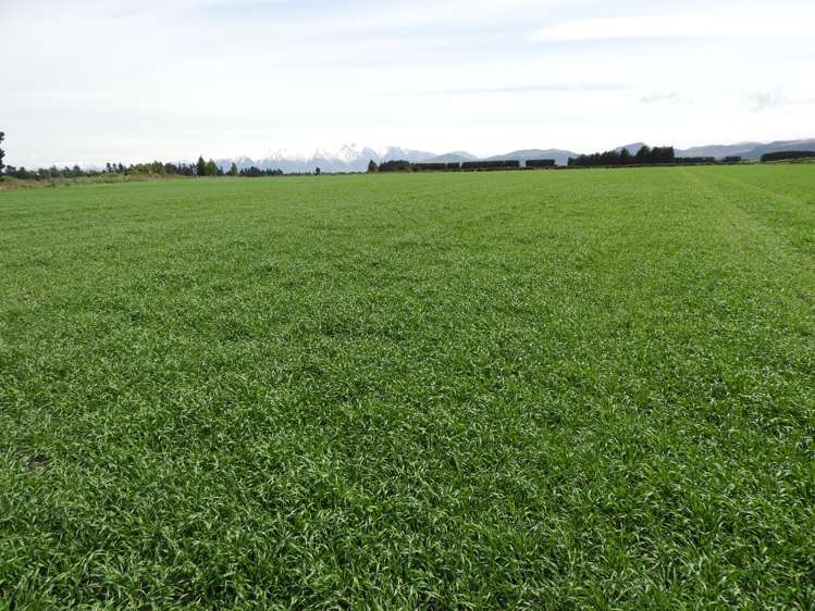 789 Downs Road Hororata_24