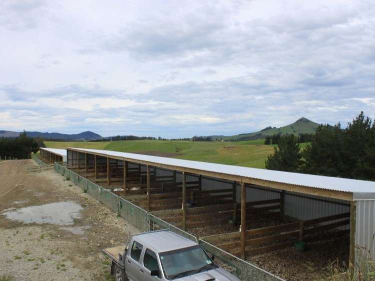 171 Hughes Road Palmerston_20