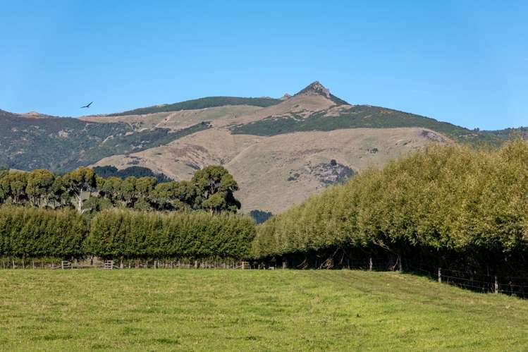 Lot 1, Old Tai Tapu Road Tai Tapu_8