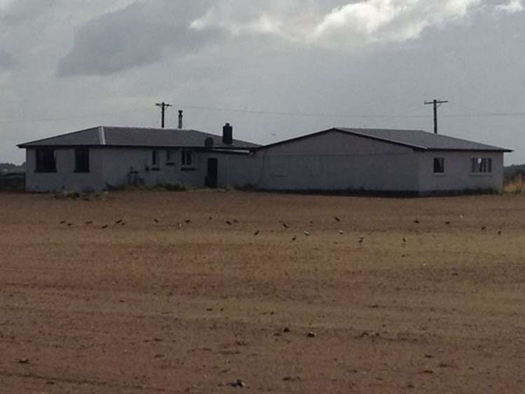 1110 Waimatuku Bush Road Taramoa_17