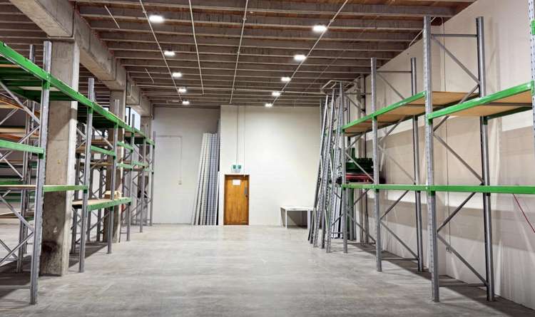 9 Exmouth Street Eden Terrace_5