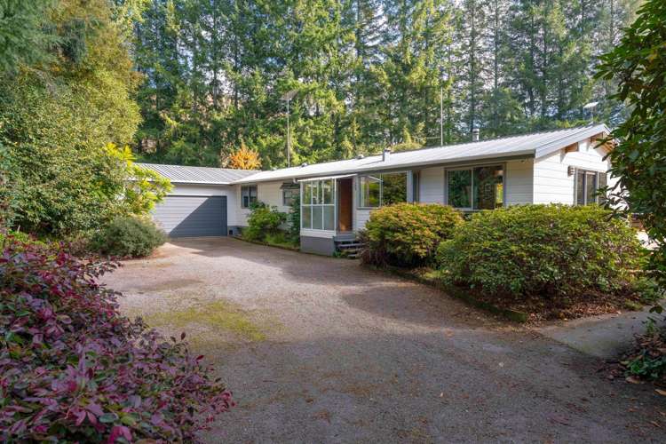 175 Forest Road Oruanui_34