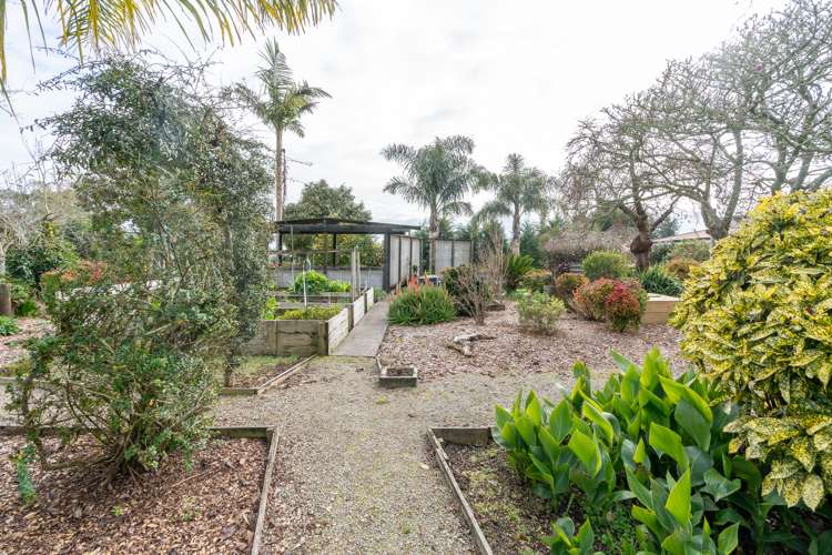 802 Tuhikaramea Road Ngahinapouri_9