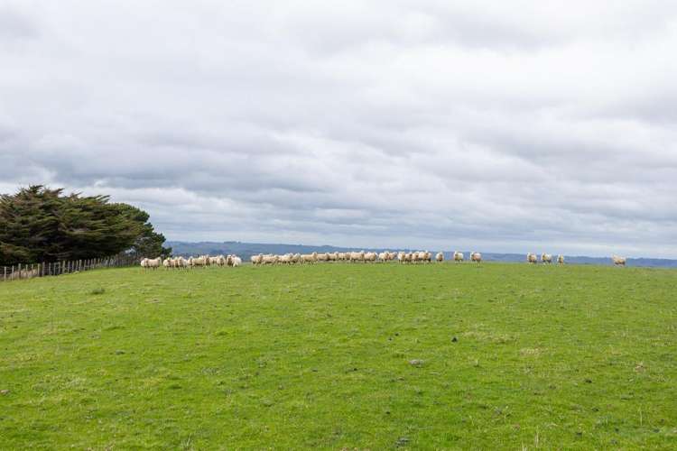 1250 Kaukatea Valley Road Okoia_13