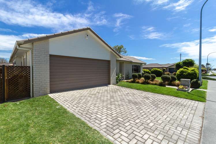 253 Guppy Road Taradale_18