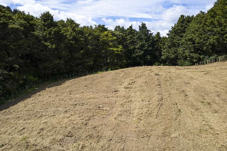 45 Kiwi Lane Kaiwaka_6