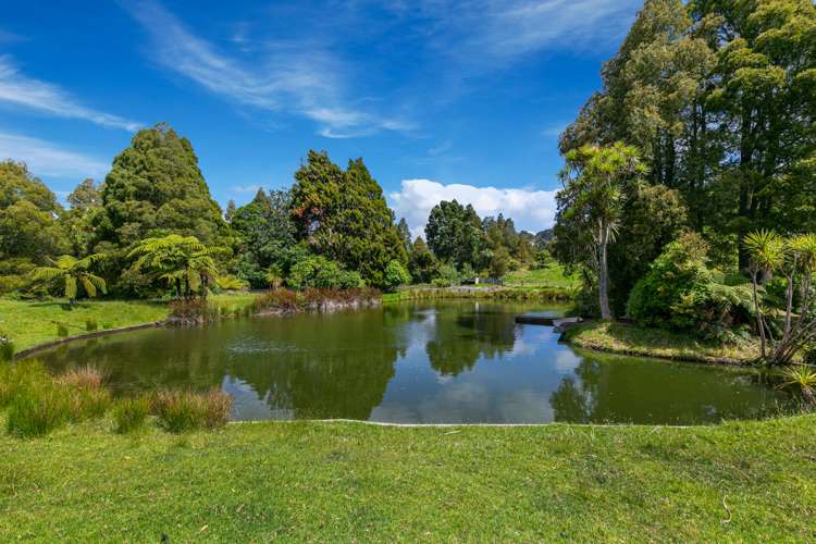 278a Forest Hill Road Waiatarua_19
