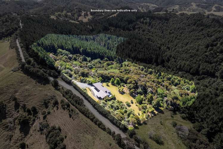 397 Cowan Bay Road Warkworth_47