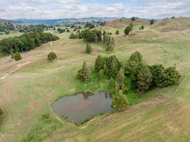 19 Body Road Manunui_3
