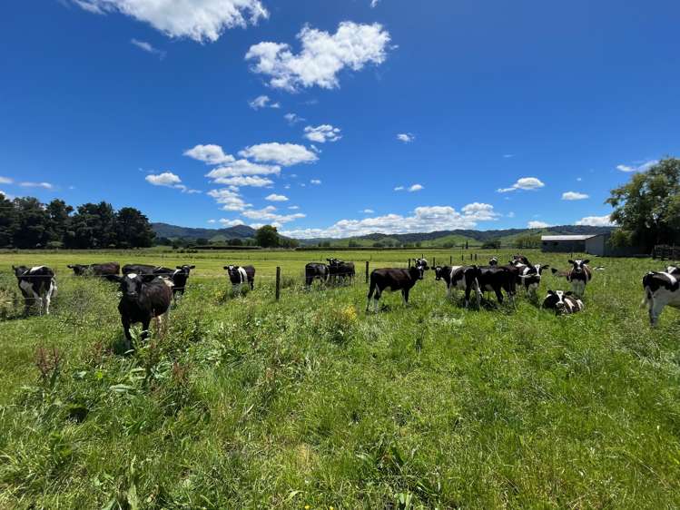 2875 Tahuna-Ohinewai Road Tahuna_14