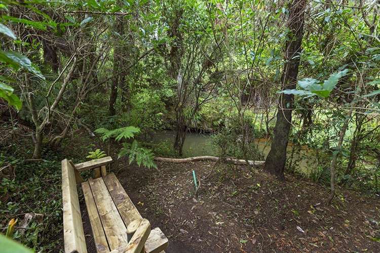 11 Anderson Road Matakana_1