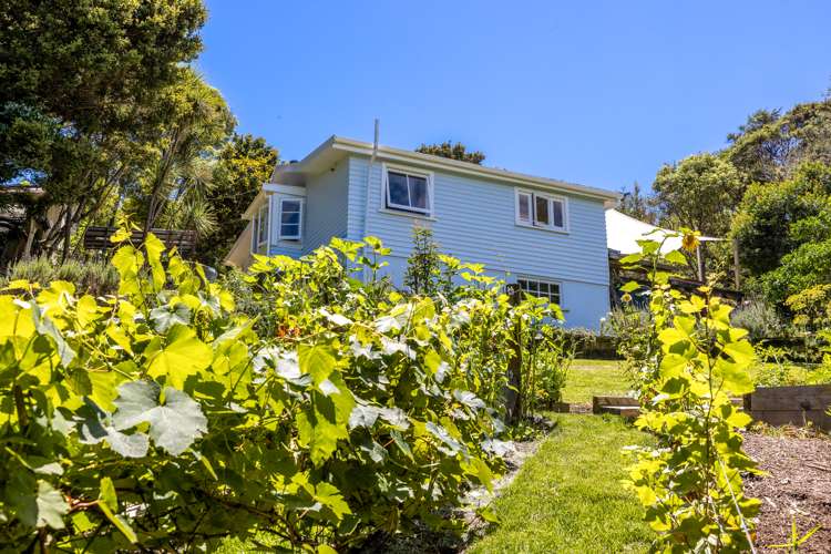 34 Goodwin Avenue Oneroa_39