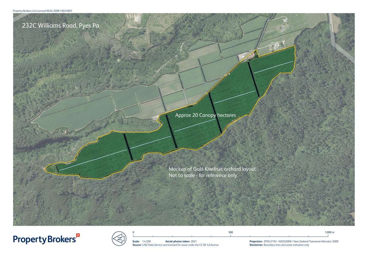 232C Williams Road North_2