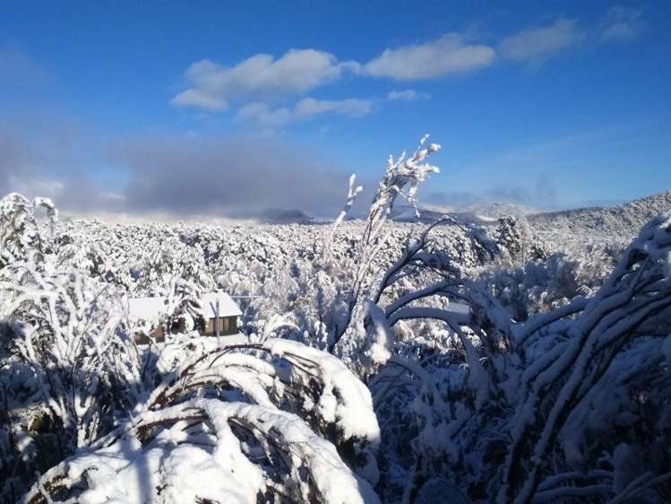 16 Borlase Avenue St Arnaud_5